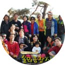 솔뫼유기농업영농조합법인 이미지