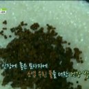 왕의밥상 이미지