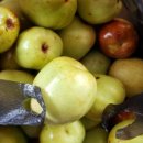 태우농장 이미지