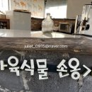 다육식물손옹기 이미지