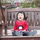 세르니띠 이미지