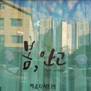 봄;안고