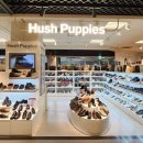 둔산이마트 이미지