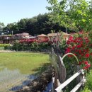 황토흙펜션 꿈의대화 이미지