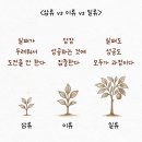 삼류 VS 이류 VS 일류.. 이미지