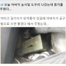 아버지가 길가다가 탄약통을 주워 오심 이미지