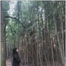 죽로원게스트하우스 이미지