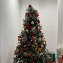 인형왕국 | 구미카페 | 모에누 베이커리 크리스마스 겨울 왕국 인생샷 명소 후기, 가족 방문 &amp; 스노우 버블 이벤트까지