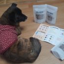 바른멍쿡 이미지