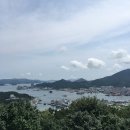 킹푸룻 이미지