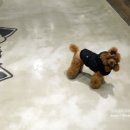 테리몽하우스 이미지