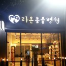 가양동물의료센터 티스토리