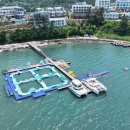 라테라스 이미지