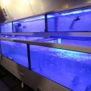 새우나라 포차 이미지