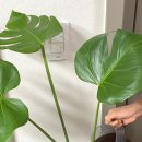 위즈코퍼레이션 이미지