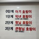 호랑이떡볶이노원