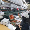 수출 농산물 이미지