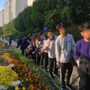 [실천학교]타로로 나의 마음 챙김 | 2025 마음챙김 동아리 우수 활동 사례1(마음챙김 동아리 소개)