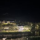 [대외활동] CO-WEEK ACADEMY 후기
