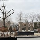 롯데마트 원주점(지하1층) | 원주 인터불고 호텔 스탠다드트윈 아기랑 내돈내산 숙박 후기