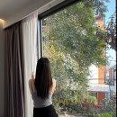 88세탁소 | 치앙마이 여행 기록 2/5 (타패게이트, 썽태우, 님만해민, 마야몰, 아르테하우스, 리스트레토, 원님만...