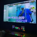 강남스타 노래연습장 이미지