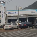 애니카랜드예산점 | 충남 예산군 보험 추천 / 애니카랜드 예산점 / 2025년기준