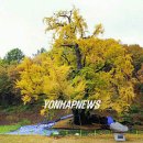 보석사로 이미지