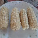 하늘.땅.바다팬션민박 이미지