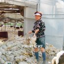 김기수농장 이미지