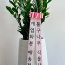 상도그 검암점 이미지