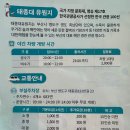 부산 영도 태종대 즐기는 다누비 열차 타는 꿀팁 &amp; 후기