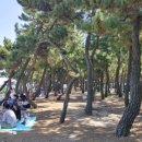 송정해변화장실 이미지