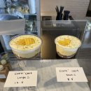 유포리아커피로스터스
