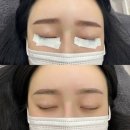 사파동101 이미지