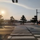 강릉 씨에스타 게스트하우스 경포본점 이미지