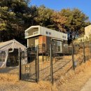 배때기네하우스 이미지