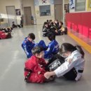 도약합기도 이미지