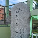 행선로09 네이버블로그