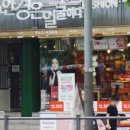 룩옵티컬 삼선교점 이미지