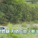 충주호수상레저 네이버블로그