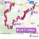 『황금종주 130km』/황악에서 금오까지/,, 두루삼백리 그 길 위에서 이미지