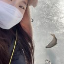 그람제빵소 | 겨울축제]_ 주말 나들이로 제격인 포천 ‘동장군나드리축제’ 후기와 추천! / (낚린이의 짜릿한 송어 낚시)