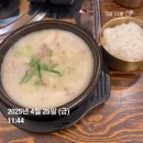 하늘태권도 | 무주 깊은골캠핑장, 무주태권도박물관, 무주곤충박물관 방문 후기 / 2025.4.25.-26.