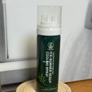 리프레쉬독 이미지