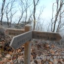 서당골산 등산로 Daum카페