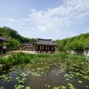 엘마트 | [마로니에숲] 옥천 육영수생가지-한옥마을