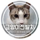 해든덴탈 이미지