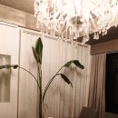 엠브이지(Mvg)호텔 이미지