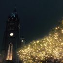 크리스마스에 명동대성당은 위로와 나눔의 빛으로 가득해 이미지